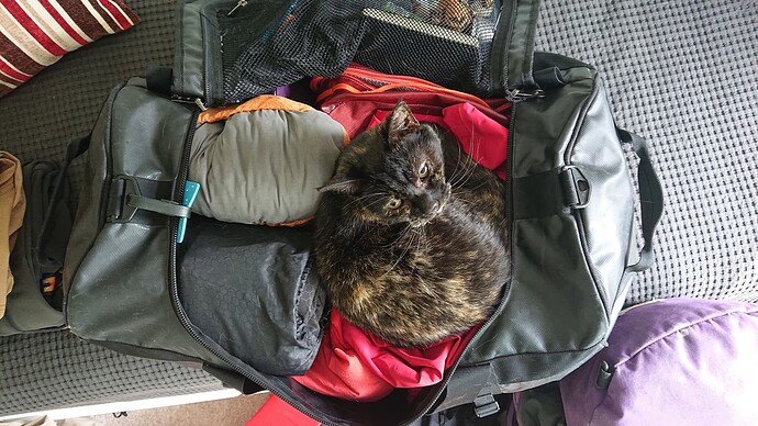 Zarrin wants to come