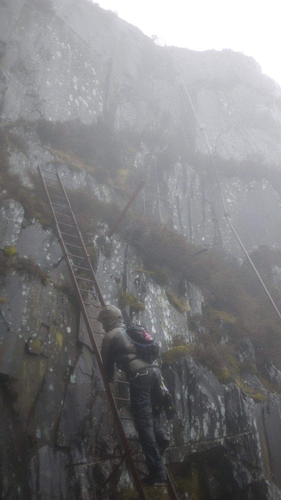 FB_IMG_1556122474235
