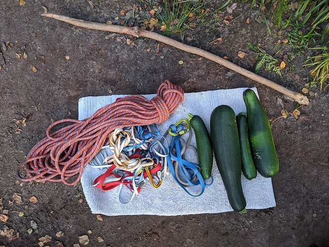 courgettes